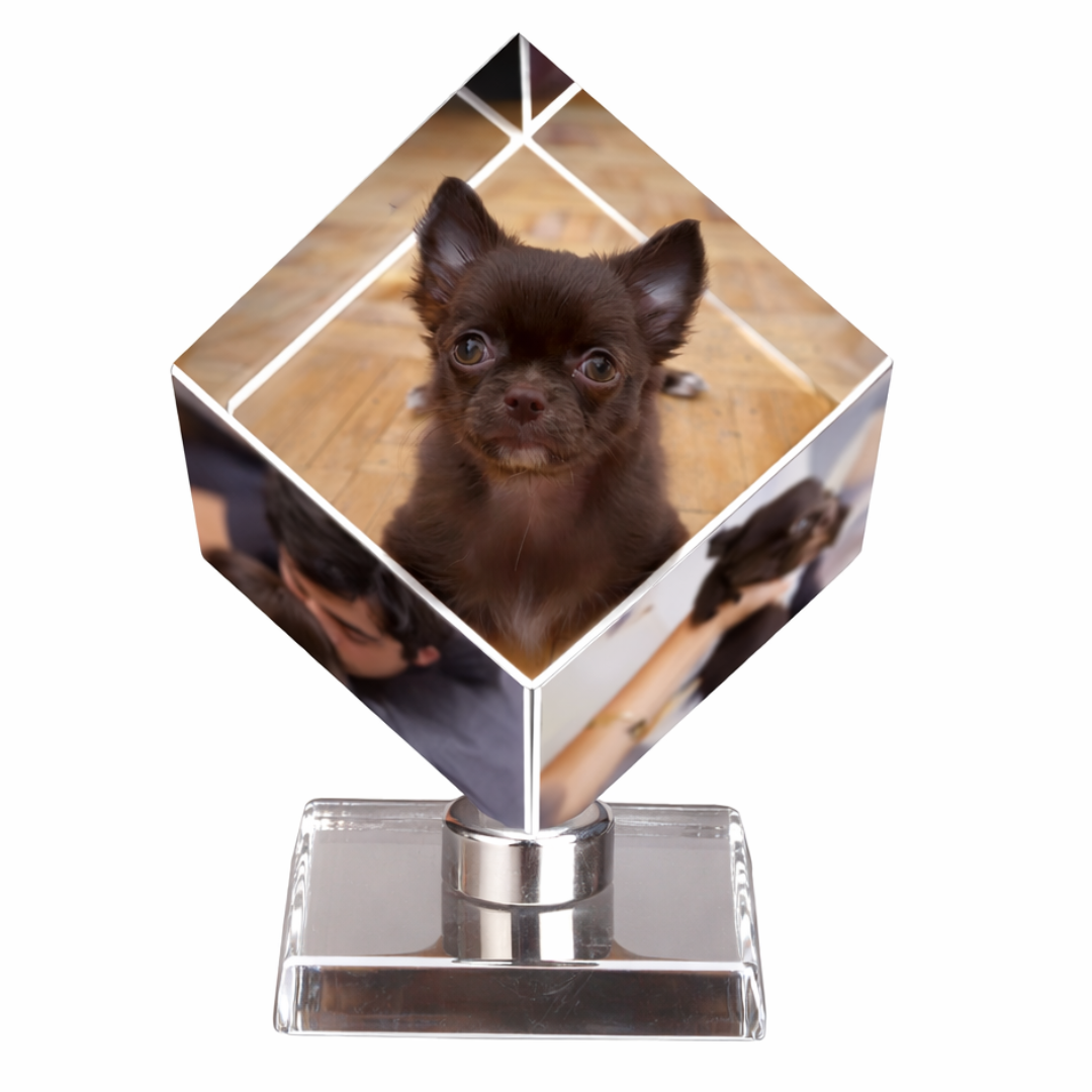 Cubo de Recuerdos Personalizados 3D